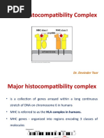 Major Histocompatibility Complex