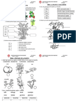 BIOLOGÍA - La Planta Partes - Utilidad