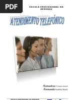 Trabalho de atendimento telefónico