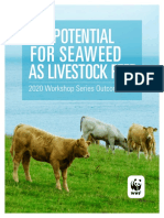 9b9cbyw7sg Potential for Seaweed as Livestock Feed Workshop Report 2020