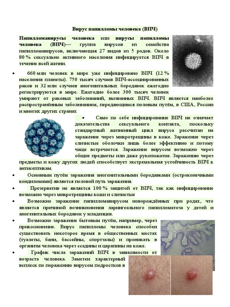ВПЧ | PDF