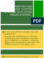 Respiratory and Circulatory Systems Working With Other Organ Systems