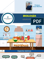 T04 - Proteínas