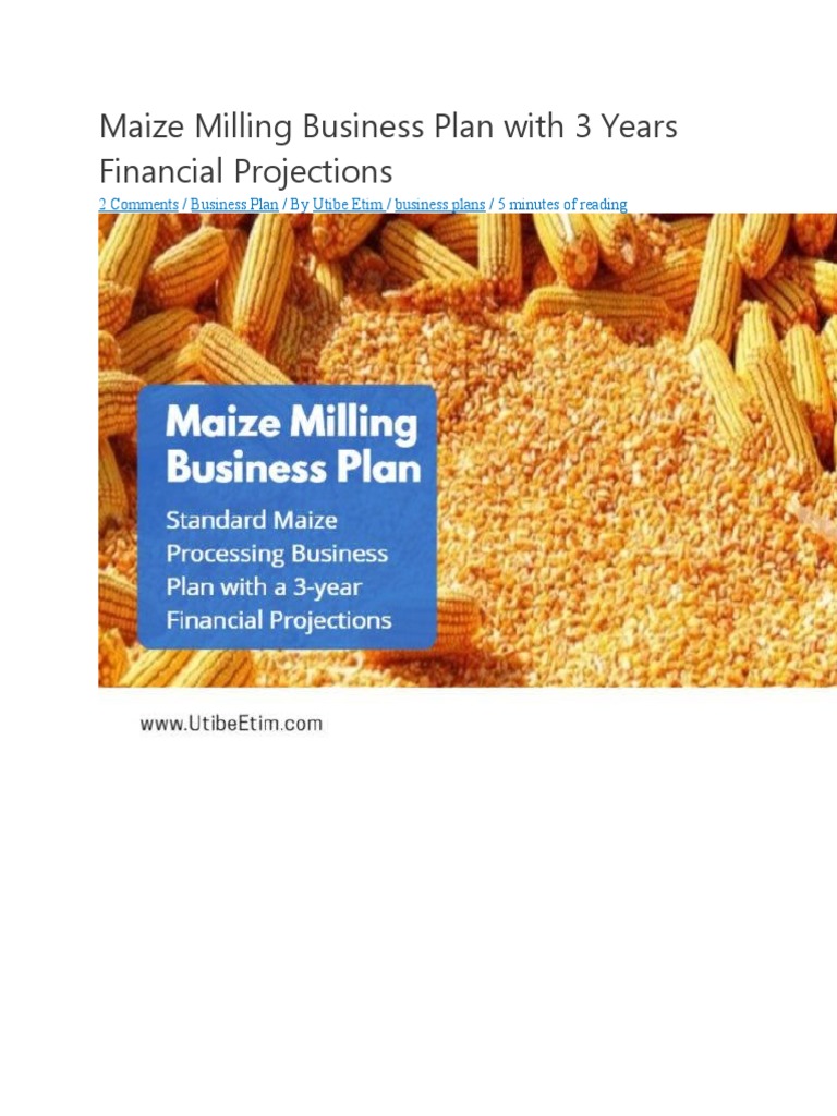 Maize Milling Business Plan With 3 Years Financial Projections PDF Statement Maize