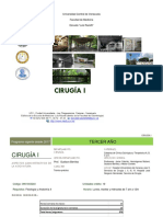 Programa Cirugia I Revision 2018