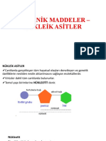 Organik Maddeler - Nükleik Asitler