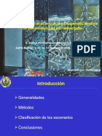 Permeabilidad Asociada A Bioturbacion