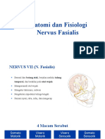 N.7 Anatomi-Fisiologi Fasialis