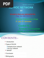 Ad Hoc Network