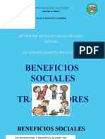 Beneficios Sociales para El Régimen Privado: Carrera Profesional de Contabilidad