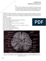 Fisiologia Nervios Craneales de Valarezo