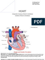 Heart: Comparative Anatomy of Heart in Vertebrates Evolution of Heart in Vertebrates
