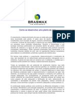 BraxMax - Como Se Desenvolve Uma Planta de Soja