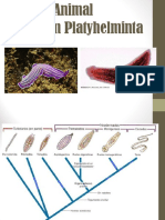 PrÃ¡ctico 4 y 5 Modificado