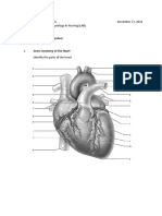 Module 8: Cardiovascular System