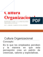 Cultura Organizacional