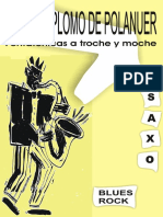 El Libro Plomo de Polanuer