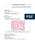 TD 1 Morphologie des leucocytes