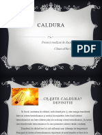 Caldura Proiect Realizat de Rusu Beatrice (Clasa A 10 A C)