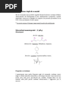 Composizione Degli Oli Essenziali