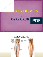 124905458-Ossa-Cruris