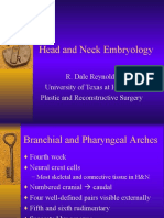 Branchial Pharyngeal Arches Concise