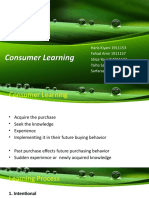 Consumer Learning Insights