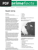 Download Squab Raising by Jannat Sultana SN55022222 doc pdf