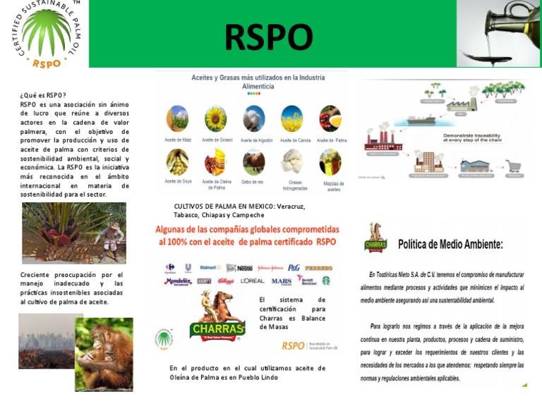 triptico-rspo-pdf