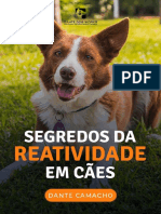 Segredo Da Reatividade em Cães