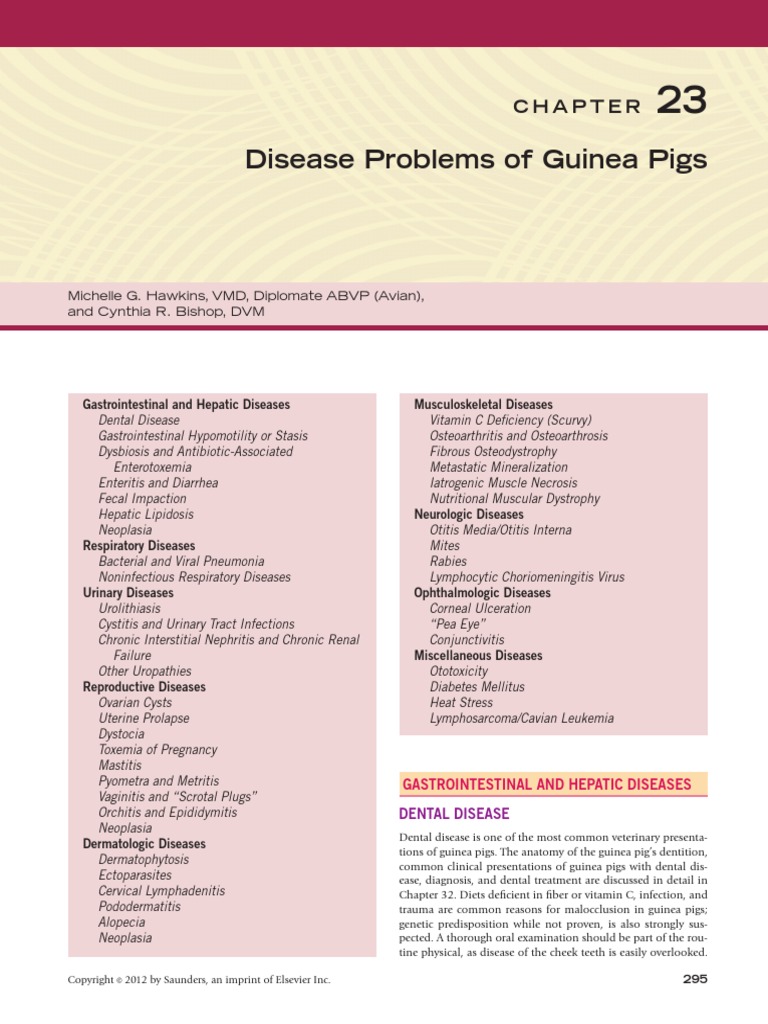 Disease Problems of Guinea Pigs Michelle G. Hawkins, VMD, Diplomate