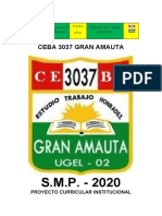 Pci 2020 Actualizado - Ceba Amauta - 2021-Urgente
