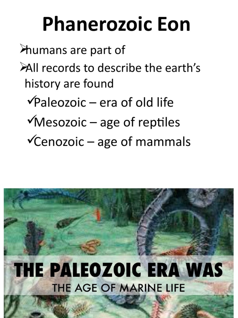 Phanerozoic Eon: Humans Are Part of All Records To Describe The Earth's ...