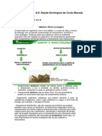 Teias e Cadeias Alimentares2