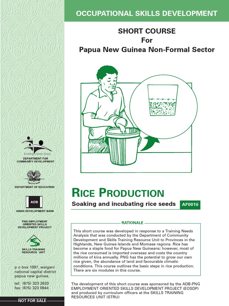 Rice Seed Soaking and Incubation Guide | PDF | Rice | Seed