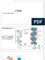 Aula 02 - A Estrutura Do DNA