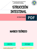 Obstrucción Intestinal-Adulto 1-Guia 8