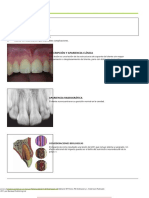 Traumatic Dental Injuries - A Manual Somosodonto-40-41.en - Es