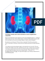 How You’Re Kidneys Work