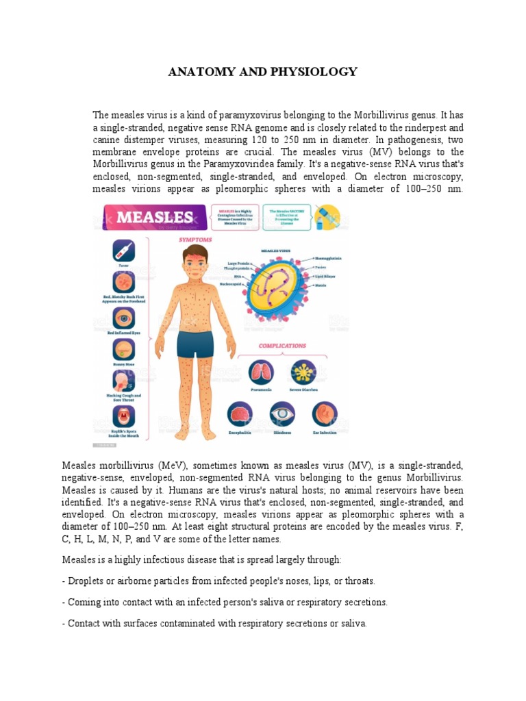 Measles Anatomy and Pathophysiology | PDF | Respiratory Tract | Virus