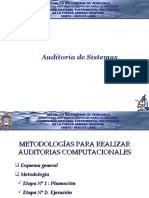 Is Audit Metodologia Procesos
