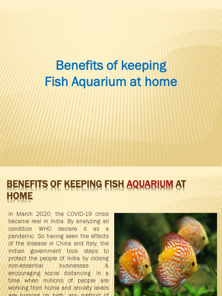 Benefits of Keeping Fish Aquarium at Home | PDF | Self-Improvement ...