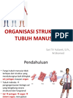 Organisasi Struktural Tubuh Manusia
