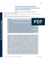 Nielsen Et Al-2017-The Journal of Physiology