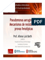 Pseudomonas aeruginosa: mecanismos de resistência e provas fenotípicas