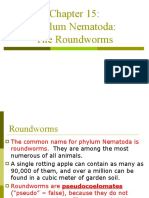 Roundworms: An Introduction to the Phylum Nematoda