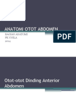 Anatomi Otot Abdomen