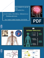 SISTEMA NERVIOSO