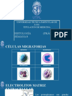 Histologia Semana 6