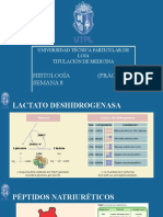 Histologia Semana 8